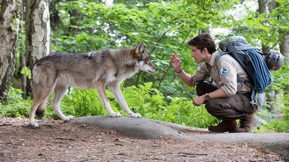Jonas Waldek (Philipp Danne), Ranger im Nationalpark Sächsische Schweiz, entdeckt einen Wolf.