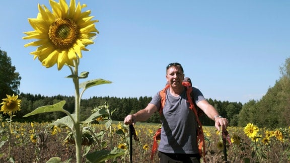 Thomas Böttcher auf einem mit auffällig wigen Sonnenblumen bewachsenen Feld; neben ihm eine riesige Sonnenblume.