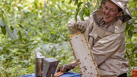 Bienenzucht und Honigproduktion auf der Insel Hiiumaa/Estland.