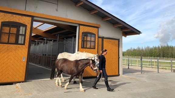Ein neues Gestüt ist am Dorfrand von Kahnsdorf entstanden - hochmodern und mit Platz für 54 Pferde.
