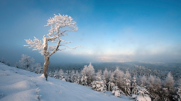 Winterlandschaft Erzgebirge in Tschechien