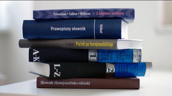 Ein Stapel sorbischer Wörterbücher