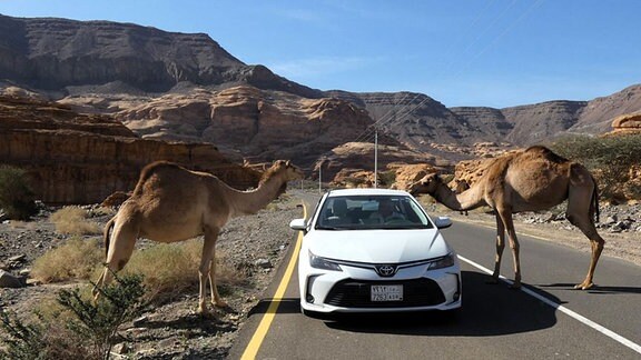 Reisereportage Benno Bilk in Saudi Arabien