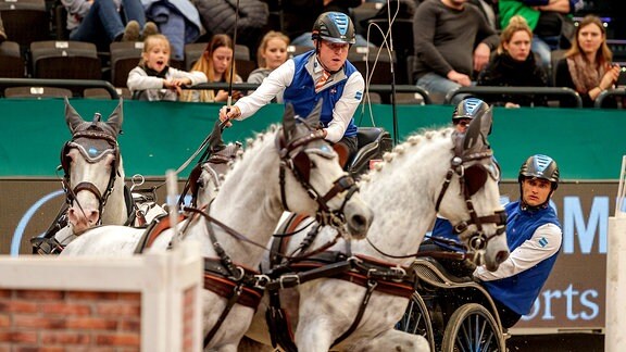 Siglavy Capriola Beni Leipzig - Partner Pferd 2020