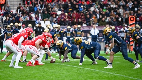 Dresden Monarchs vs Potsdam Royals