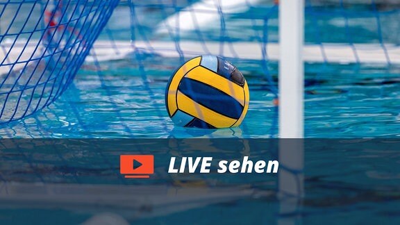 Wasserball