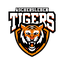 Logo Aschersleben Tigers