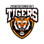 Logo Aschersleben Tigers | Bildrechte: MITTELDEUTSCHER RUNDFUNK Logo Aschersleben Tigers