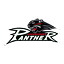 Logo Augsburger Panther | Bildrechte: MITTELDEUTSCHER RUNDFUNK Logo Augsburger Panther