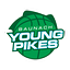 Logo Baunach Young Pikes