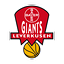 Logo Bayer Giants Leverkusen