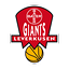 Logo Bayer Giants Leverkusen | Bildrechte: MITTELDEUTSCHER RUNDFUNK Logo Bayer Giants Leverkusen