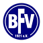 Logo Blankenburger FV | Bildrechte: MITTELDEUTSCHER RUNDFUNK Logo Blankenburger FV