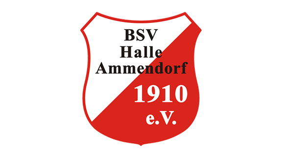 Logo BSV Halle-Ammendorf