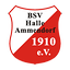 Logo BSV Halle-Ammendorf
