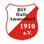 Logo BSV Halle-Ammendorf | Bildrechte: MITTELDEUTSCHER RUNDFUNK Logo BSV Halle-Ammendorf