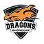 Logo Dragons Rhöndorf | Bildrechte: MITTELDEUTSCHER RUNDFUNK Logo Dragons Rhöndorf