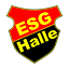 Logo ESG Halle | Bildrechte: MITTELDEUTSCHER RUNDFUNK Logo ESG Halle