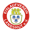 Logo EV Landshut | Bildrechte: MITTELDEUTSCHER RUNDFUNK Logo EV Landshut