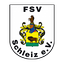 Logo FSV Schleiz | Bildrechte: MITTELDEUTSCHER RUNDFUNK Logo FSV Schleiz