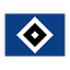 Logo Hamburger SV | Bildrechte: MITTELDEUTSCHER RUNDFUNK Logo Hamburger SV