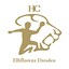 Logo HC Elbflorenz | Bildrechte: MITTELDEUTSCHER RUNDFUNK Logo HC Elbflorenz