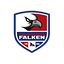 Logo Heilbronner Falken | Bildrechte: MITTELDEUTSCHER RUNDFUNK Logo Heilbronner Falken