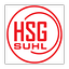 Logo HSG Suhl | Bildrechte: MITTELDEUTSCHER RUNDFUNK Logo HSG Suhl