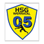 Logo HSG Werratal