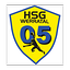 Logo HSG Werratal | Bildrechte: MITTELDEUTSCHER RUNDFUNK Logo HSG Werratal