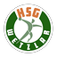 Logo HSG Wetzlar | Bildrechte: MITTELDEUTSCHER RUNDFUNK Logo HSG Wetzlar
