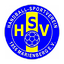 Logo HSV Marienberg | Bildrechte: MITTELDEUTSCHER RUNDFUNK Logo HSV Marienberg