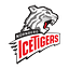 Logo Icetigers Nürnberg | Bildrechte: MITTELDEUTSCHER RUNDFUNK Logo Icetigers Nürnberg