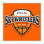 Logo Ing Skywheelers | Bildrechte: MITTELDEUTSCHER RUNDFUNK Logo Ing Skywheelers