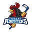 Logo Iserlohn Roosters