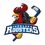 Logo Iserlohn Roosters | Bildrechte: MITTELDEUTSCHER RUNDFUNK Logo Iserlohn Roosters