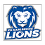 Logo Karlsruhe Lions