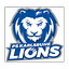 Logo Karlsruhe Lions | Bildrechte: MITTELDEUTSCHER RUNDFUNK Logo Karlsruhe Lions