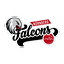 Logo Nürnberg Falcons