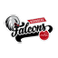 Logo Nürnberg Falcons | Bildrechte: MITTELDEUTSCHER RUNDFUNK Logo Nürnberg Falcons