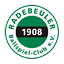 Logo Radebeuler BC | Bildrechte: MITTELDEUTSCHER RUNDFUNK Logo Radebeuler BC