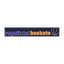 Logo Regnitztal Baskets | Bildrechte: MITTELDEUTSCHER RUNDFUNK Logo Regnitztal Baskets