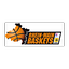 Logo Rhein-Main Baskets