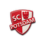 Logo SC Potsdam | Bildrechte: MITTELDEUTSCHER RUNDFUNK Logo SC Potsdam