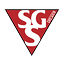 Logo SG Dresden Striesen | Bildrechte: MITTELDEUTSCHER RUNDFUNK Logo SG Dresden Striesen