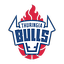 Logo RSB Thuringia Bulls