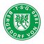 Logo TSG Bergedorf | Bildrechte: MITTELDEUTSCHER RUNDFUNK Logo TSG Bergedorf