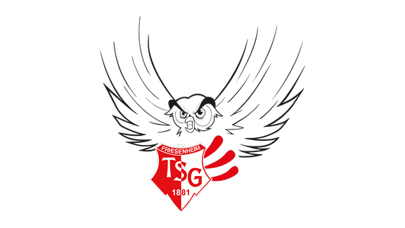 Logo TSG Friesenheim