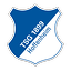 Logo TSG 1899 Hoffenheim | Bildrechte: MITTELDEUTSCHER RUNDFUNK Logo TSG 1899 Hoffenheim