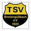 Logo TSB Breitengüßbach